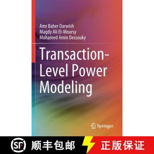 Transaction 4周达 Level Power 9783030248291 Modeling