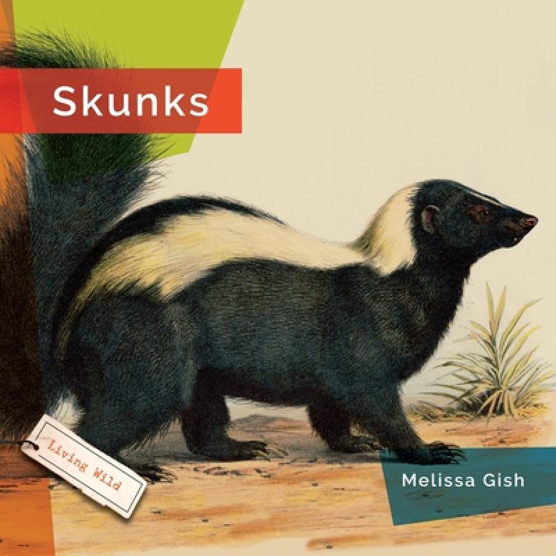 【4周达】Skunks [9781682773567] 书籍/杂志/报纸 儿童读物原版书 原图主图