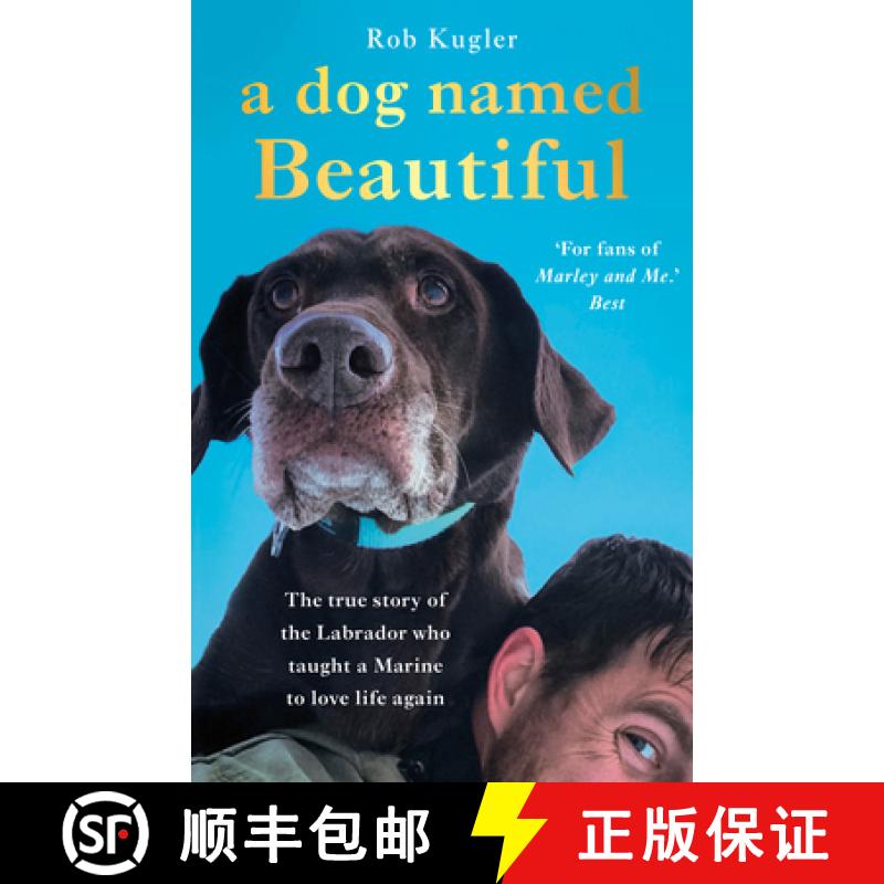 【3-4周达】A Dog Named Beautiful : The true story of the Labrador who taught a Marine to love life again [9780552174770]