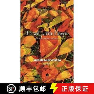New 4周达 the Ireland 9781851321599 Writing Haiku Leaves Between from