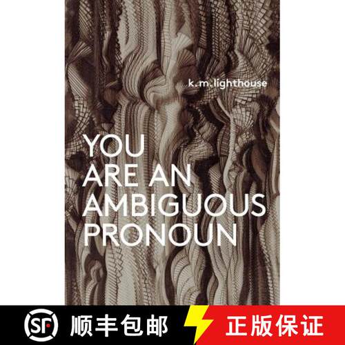 【3-4周达】You Are an Ambiguous Pronoun [9780997298734]