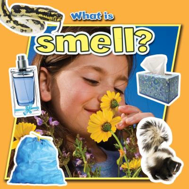 预订 what is smell[9780778709992]
