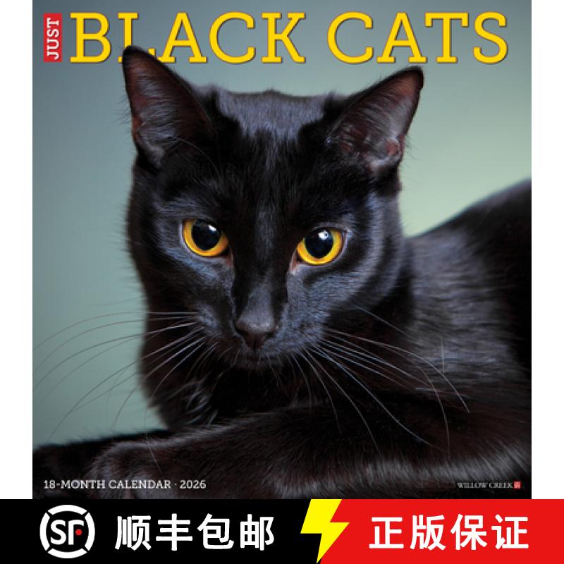 【3-4周达】Black Cats 2026 12 X 12 Wall Calendar [9781549250286]