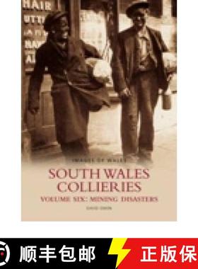 【3-4周达】South Wales Collieries Volume 6: Mining disasters: Images of Wales - South Wales Collierie... [9780752435640]
