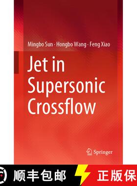 【3-4周达】Jet in Supersonic Crossflow [9789811360244]