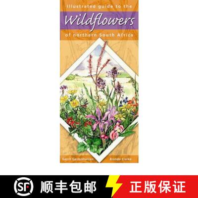 预订 Illustrated Guide to Wildflowers of Northern South Africa [9781875093397]