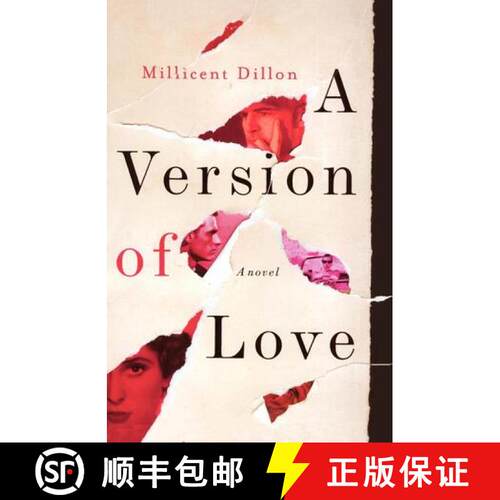 【3-4周达】A Version of Love – A Novel [9780393342505]