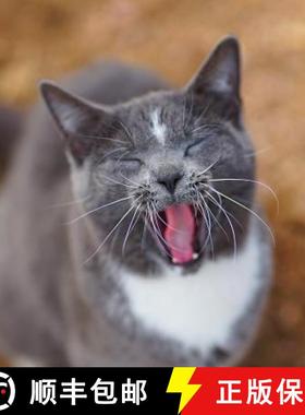 预订 Colorado Barn Cats - Skunk and Chauncey [9780578442426]