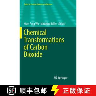 Chemical Transformations Dioxide 4周达 Carbon 9783030085315