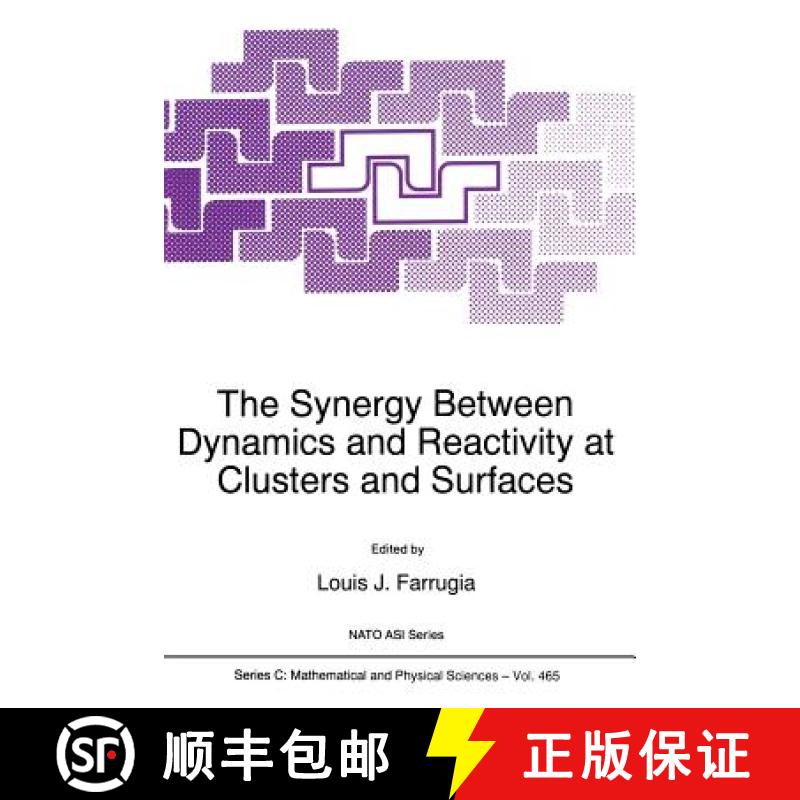 【3-4周达】The Synergy Between Dynamics and Reactivity at Clusters and Surfaces [9789401040600]