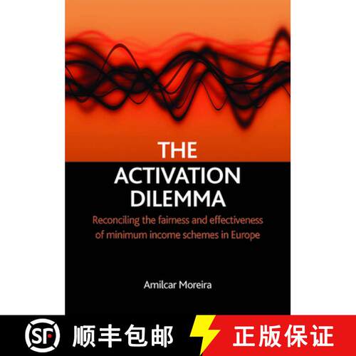 【2-3周达】精装 The activation dilemma – Reconciling the fairness and effectiveness of minimum incom... [9781847420466]
