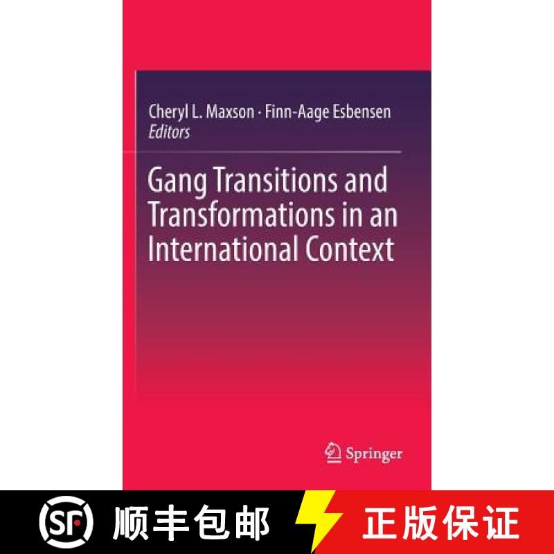 【3-4周达】Gang Transitions and Transformations in an International Context [9783319296005]