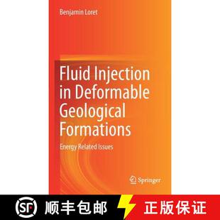 Geological Formations Issues Fluid Related 4周达 9783319942162 Injection Energy Deformable