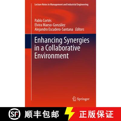 【3-4周达】精装 Enhancing Synergies in a Collaborative Environment [9783319140773]