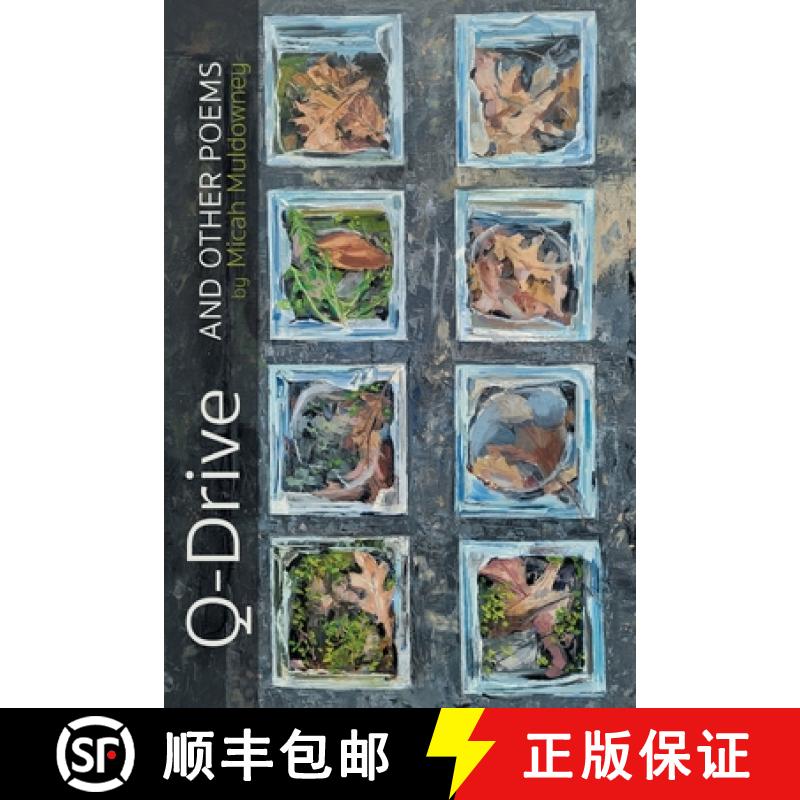 【2-3周达】Q-Drive and Other Poems [9781646628155]
