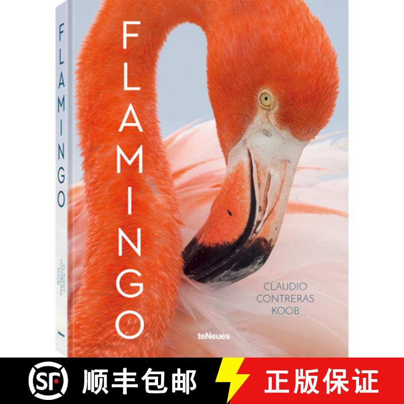 Flamingo [9783961713875]