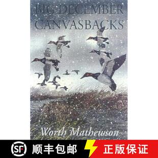 Big 4周达 December Canvasbacks 9781568331539 Revised