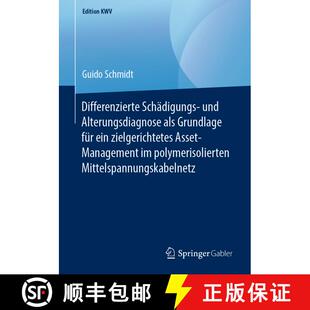 【3-4周达】Differenzierte Schädigungs- und Alterungsdiagnose als Grundlage für ein zielgerichtetes ... [9783658246839]