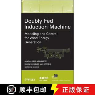 Energy 4周达 Induction Fed Modeling Wind Generation For Doubly Control And 9780470768655 Wiley能源 Machine