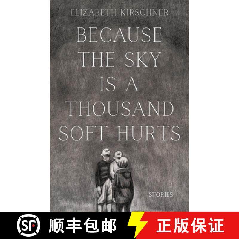 【3-4周达】Because the Sky is a Thousand Soft Hurts [9781637529324]
