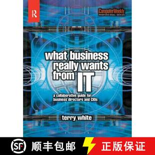 Wants Directors from Really What and for CIOs Collaborative Business Guide 4周达 9781138435391