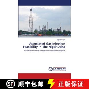 The Gas 9783659495984 Delta Niger Feasibility Injection Associated 预订