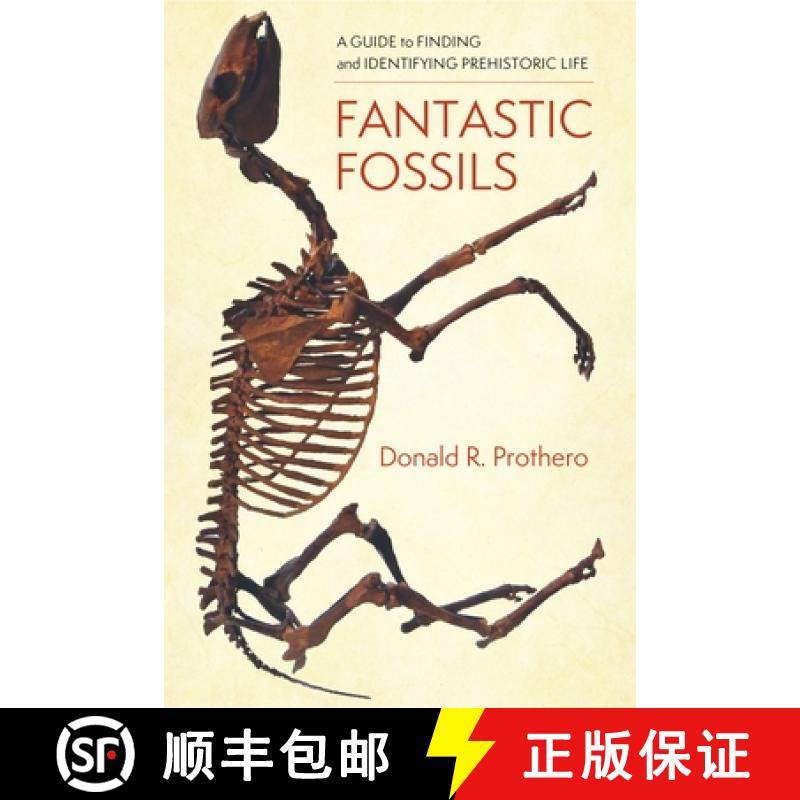 【3-4周达】Fantastic Fossils: A Guide to Finding and Identifying Prehistoric Life [9780231195782]