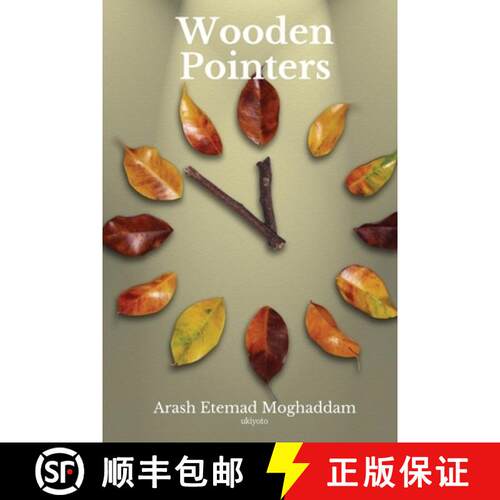【3-4周达】Wooden Pointers [9789361726859]