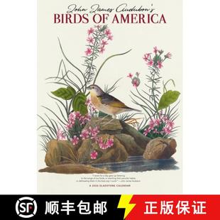 America Birds DLX Wall Audubon Narrow 4周达 9781529847277 9x12