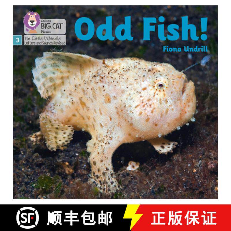 【3-4周达】Big Cat Phonics for Little Wandle Letters and Sounds Revised - Odd Fish!: Phase 3 [9780008504496]
