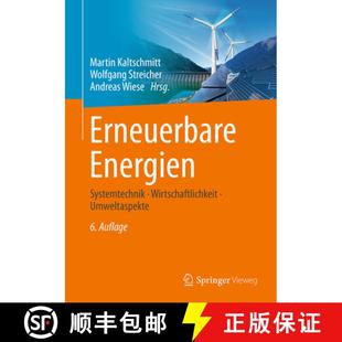 Erneuerbare Energien Systemtechnik Umweltaspekte 4周达 Wirtschaftlichkeit 9783662611890