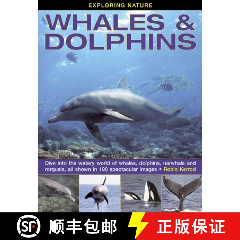 【2-3周达】Exploring Nature: Whales & Dolphins: Dive Into the Watery World of Whales, Dolphins, Narwh... [9781843229124]