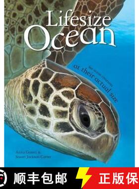 预订 Lifesize Ocean [9780753436349]
