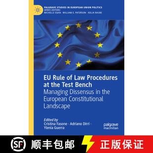 Dissensus the Test Rule Law 9783031600074 European Constituti... Procedures Managing Bench 4周达