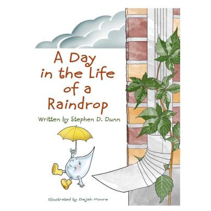 预订 a day in the life of a raindrop [9780998542881]