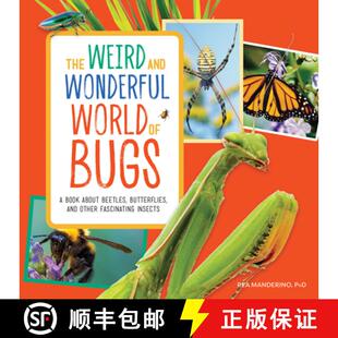 Beetles Bugs Weird Wonderful 9781647397326 Other Fascin... The and World about Book Butterflies 4周达