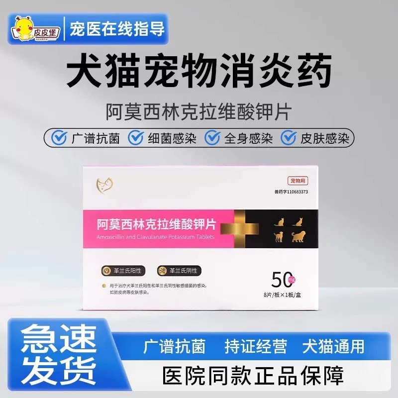 猫狗呼吸道阿莫西林克拉维酸钾