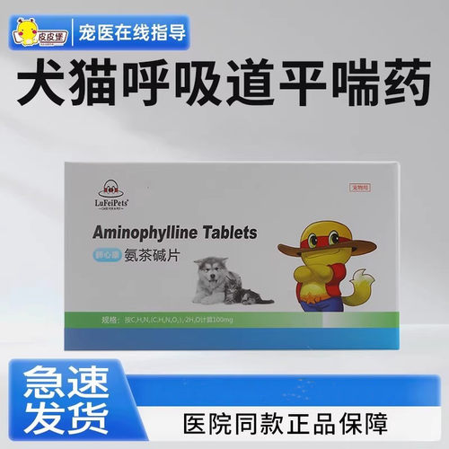 宠物平喘药用于宠物气喘症状