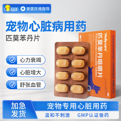 宠物心脏疾病口服药心脏问题