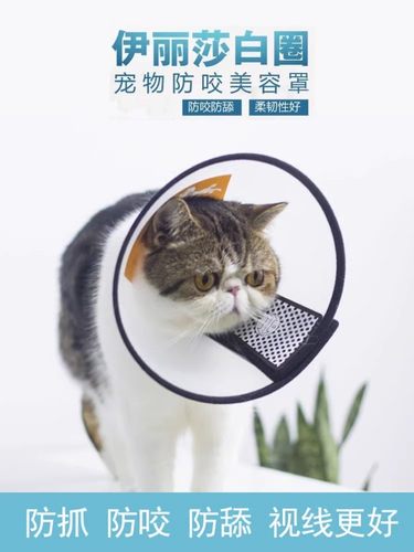 防舔咬宠物伊丽莎白圈宠物脖圈