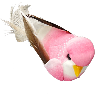 可爱彩色黄色小鸟仿真发夹侧边刘海夹卡子鸭嘴夹儿童搞怪发饰中式