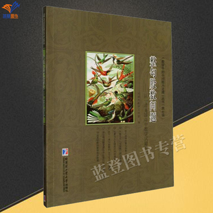 新书整勾股数问题从一道美国高中数学试题谈起正版包邮刘培杰数学工作室编著数学中的小问题大定理丛书第七辑哈尔滨工业大学出版社