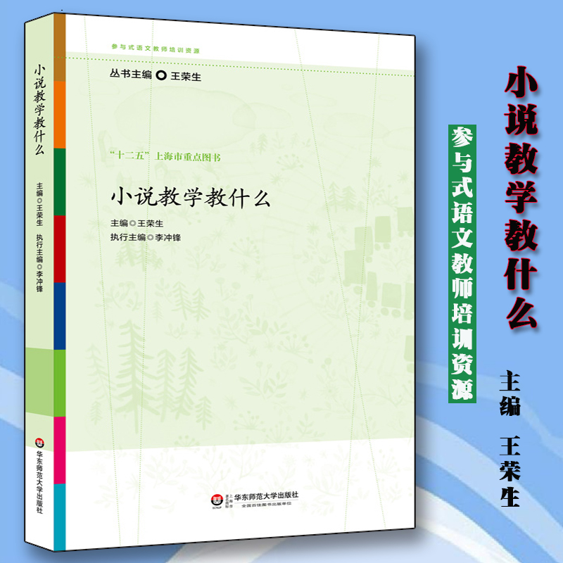 正版包邮小说教学教什么华东师范大学出版