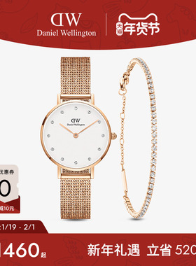 DW手表腕饰套装 优雅流金女表小双环手链套装28MM  丹尼尔惠灵顿