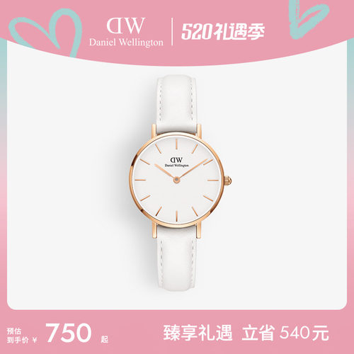 dw手表女皮质石英圆表