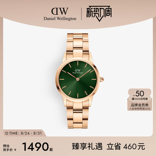 DW手表小精钢石英机芯男表