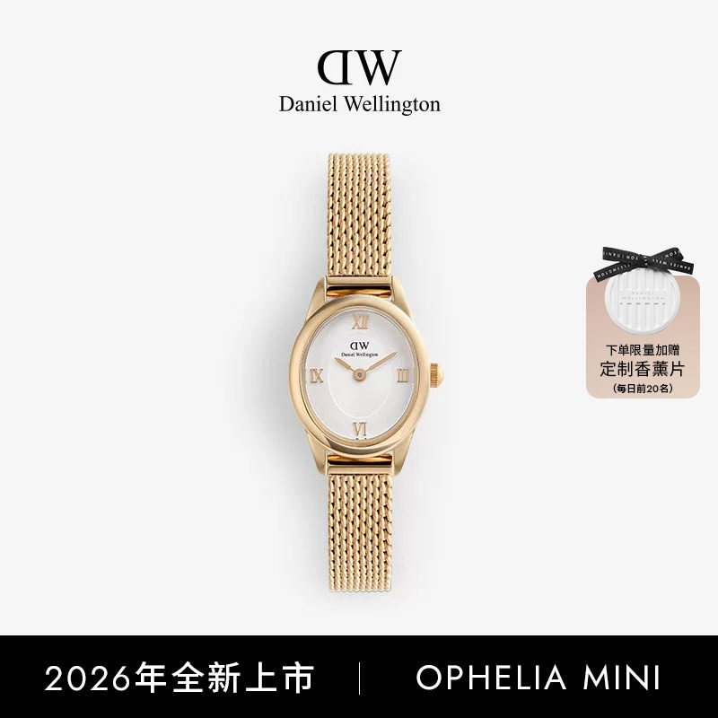 DW椭圆表女复古轻奢小众玫瑰金图片
