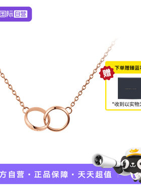 dw小双环锁骨链小众轻奢简约项链