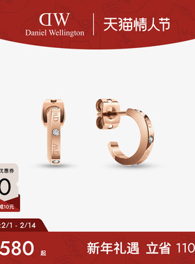 DW耳饰女 LUMINE星辰系列耳钉闪耀水晶镶钻锆石耳钉 气质高级感