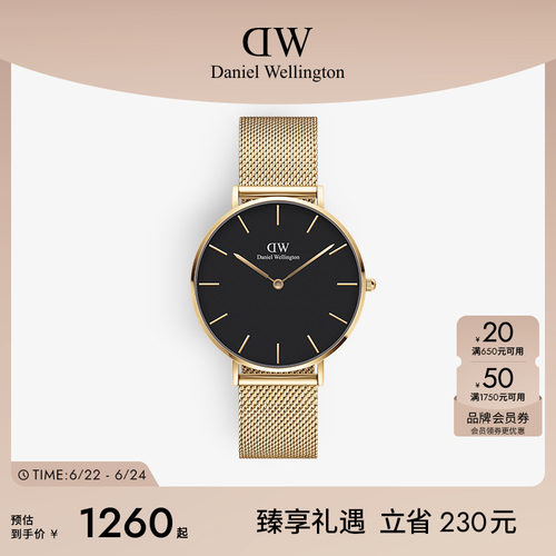 DW轻奢流金表女款石英表